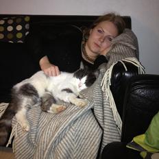 Blanding af racer Dollar