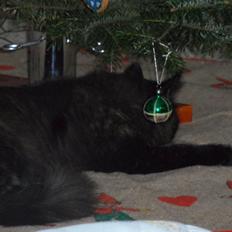 Blanding af racer Mittens