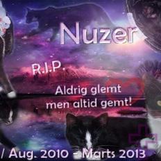 Huskat Nuzer<3 R.I.P.<3