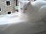 Maine Coon DK Lykke katte's Presley