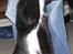 Huskat Nuzer<3 R.I.P.<3 - "My fear of loosing you became true - we are seperated from each other due to the destiny!:'-(("