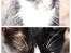 Huskat Nuzer<3 R.I.P.<3 - "You were ready for everything - you were very curious<3"