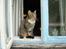 Huskat Sofus<3 R.I.P.<3