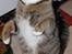 Huskat Sofus<3 R.I.P.<3