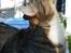 Huskat Sofus<3 R.I.P.<3