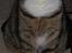 Huskat Sofus<3 R.I.P.<3