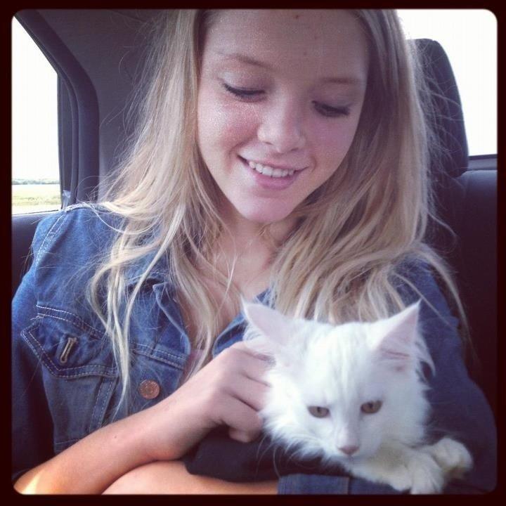 Maine Coon Andrea billede 2