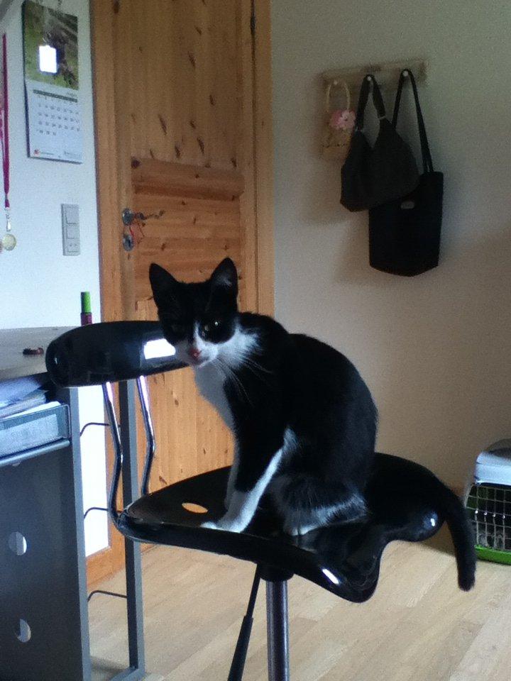 Huskat ~ Fiona † ** Sov sødt min elskede skat <3** billede 20