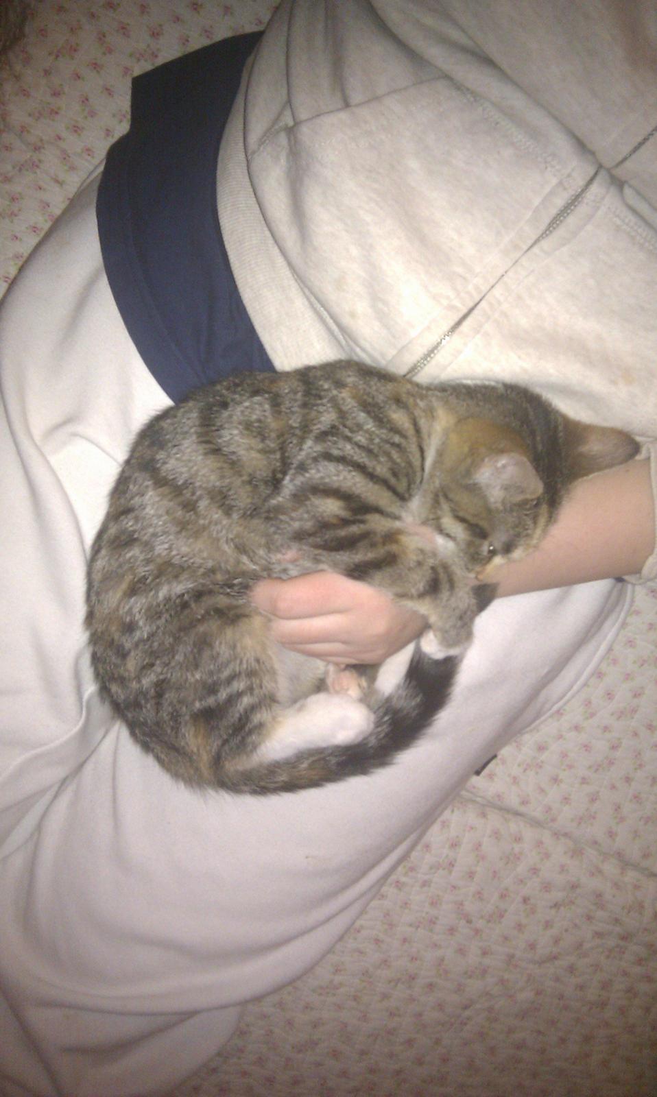 Huskat Mis billede 15