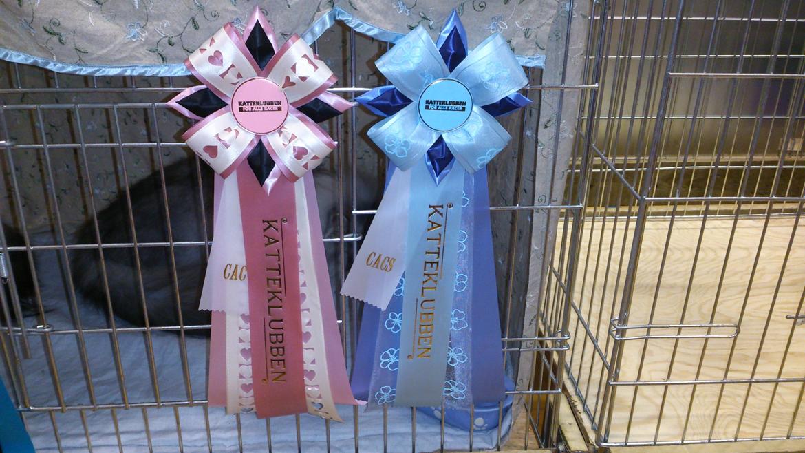 Perser Mejlvang's Gabriell billede 19