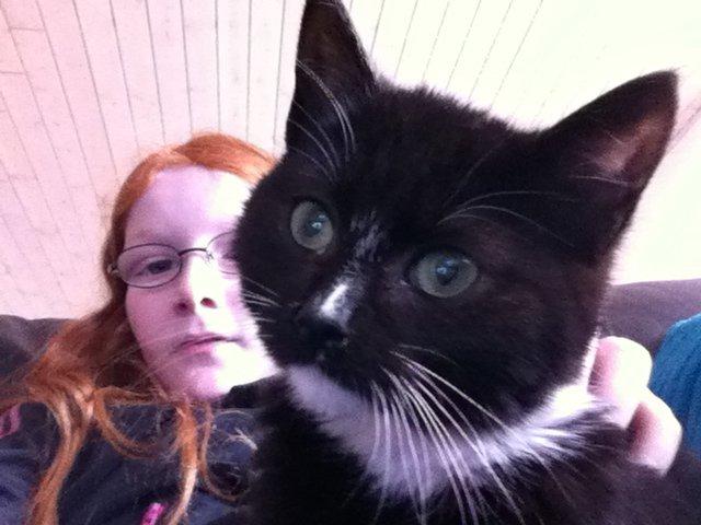 Huskat Ost<3 ( Sov sødt min lille engel:-( )*R.I.P* billede 15