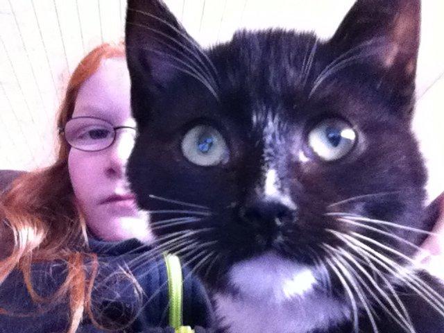 Huskat Ost<3 ( Sov sødt min lille engel:-( )*R.I.P* billede 16