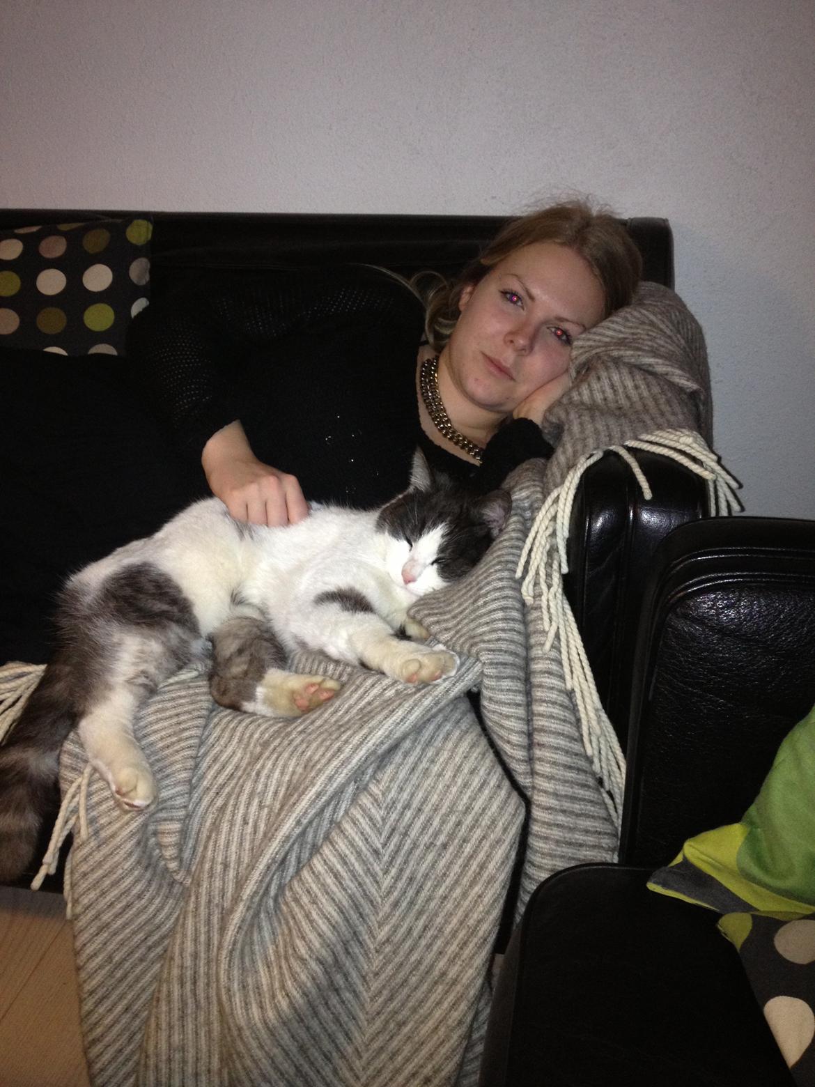 Blanding af racer Dollar - Ligger og putter med iben billede 3