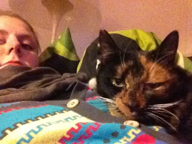 Blanding af racer Liva billede 5