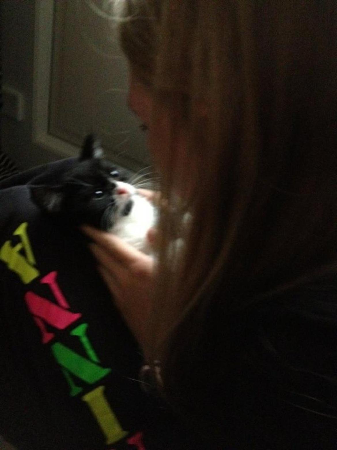 Blanding af racer Molle<3 - Da jeg var ude og kigge på ham :) billede 11