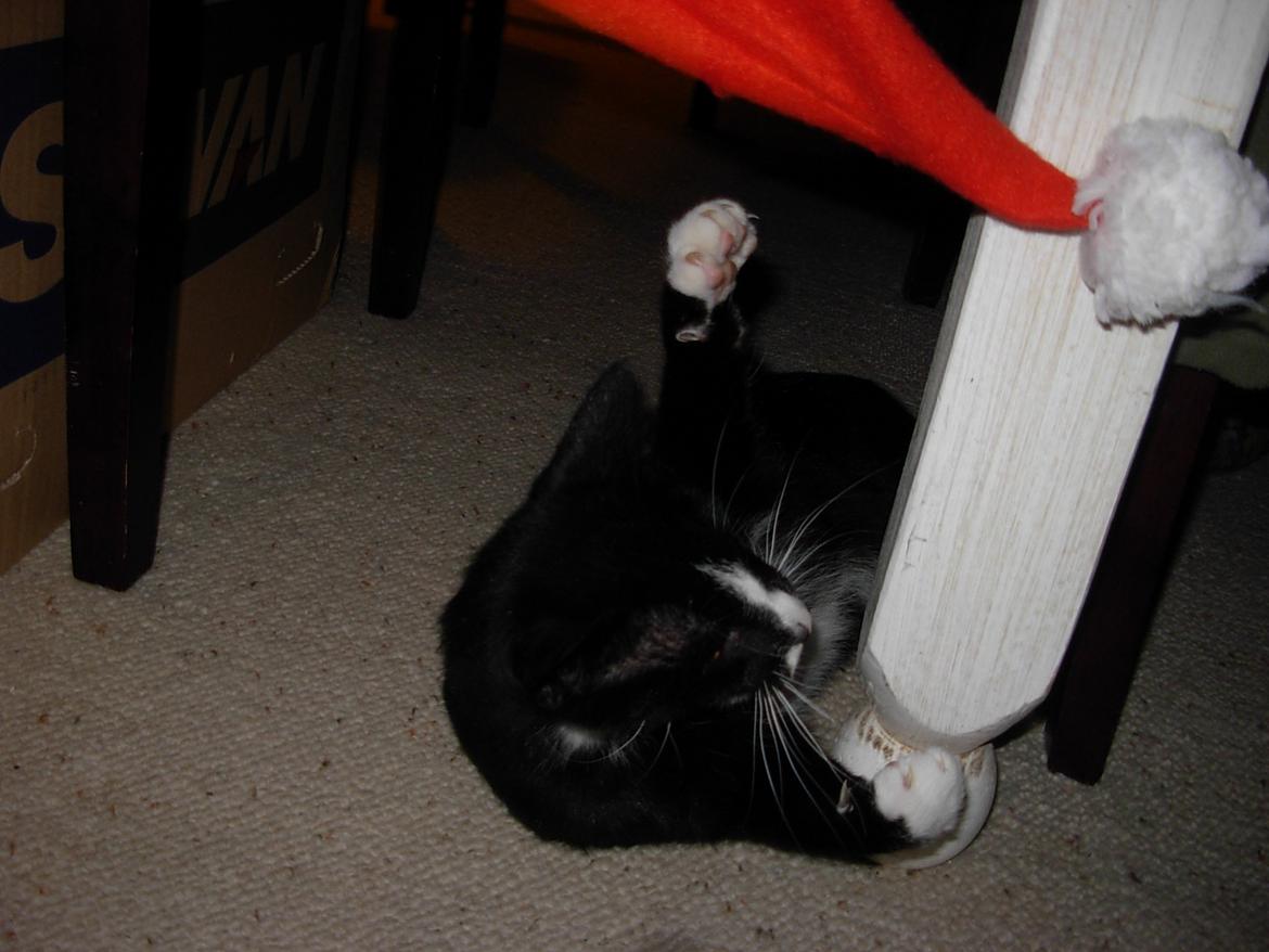 Huskat Nuzer<3 R.I.P.<3 - "You were always happy,which infected on me<3" billede 19