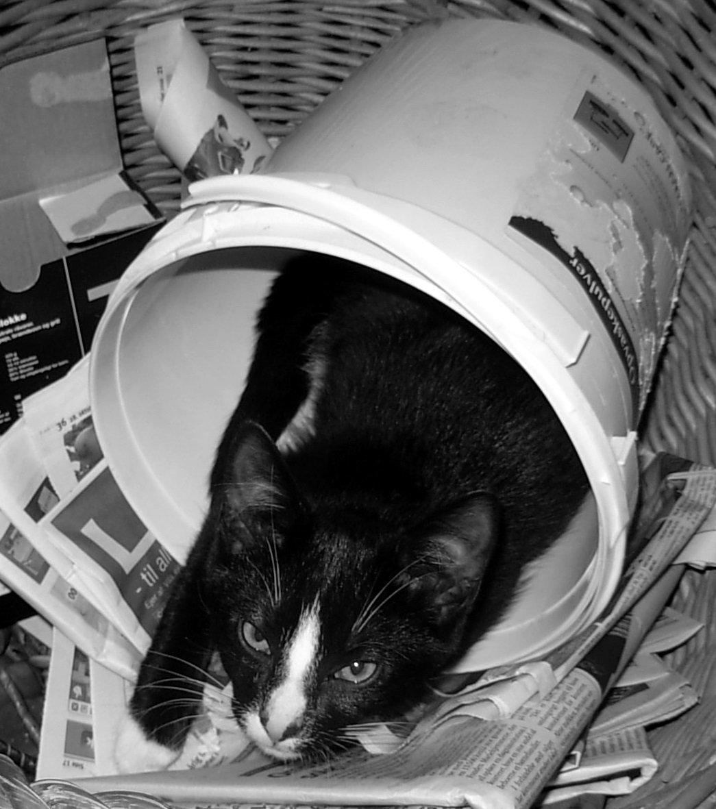 Huskat Nuzer<3 R.I.P.<3 - "Gad vid' om du kan høre mig nu! Jeg tændt' lys i mit vindue; jeg tænker på, om du kan se det. Vandrer du mon ogs' rundt alene? Vil dit hjerte ej heller hele? Kommer der nætter som vi stadig kan dele? Jeg ligger søvnløs her til den dag vi bli'r genforenet billede 16