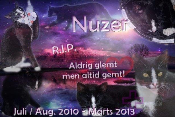 Huskat Nuzer<3 R.I.P.<3 - Snus<3;* - "I miss you my true friend! :'(( <3" billede 1