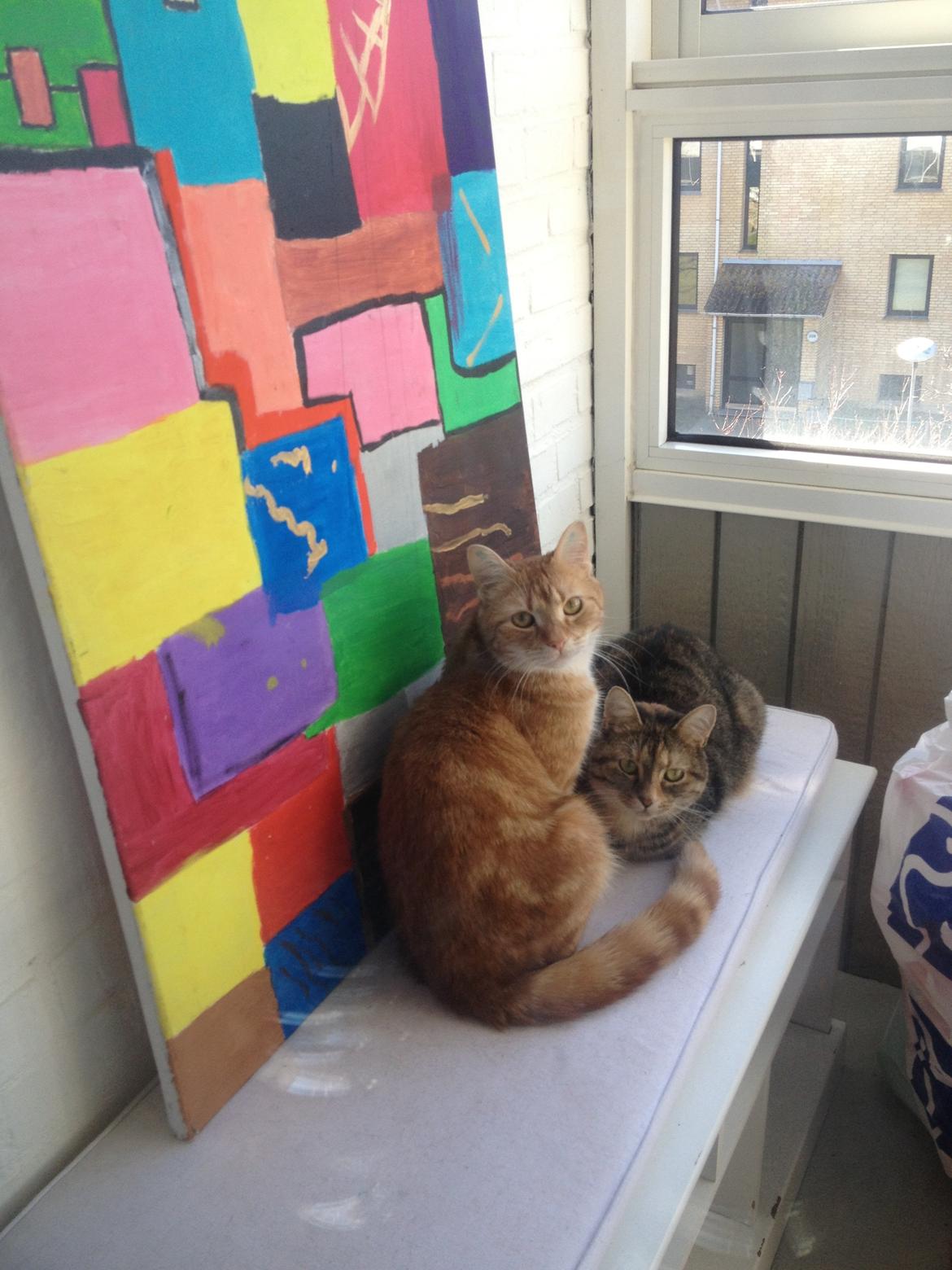 Huskat Garfield billede 11