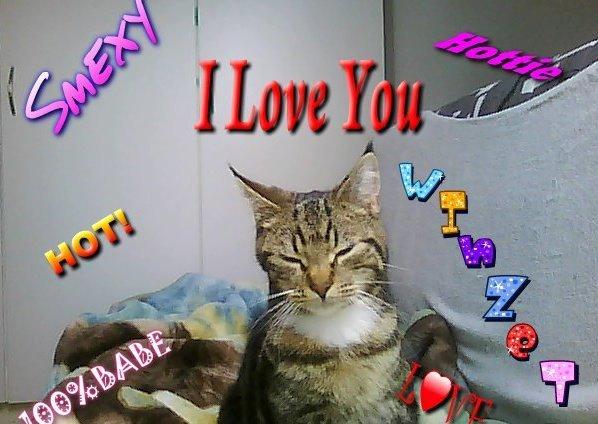 Huskat Winzet (Baby) - My baby♥ billede 3