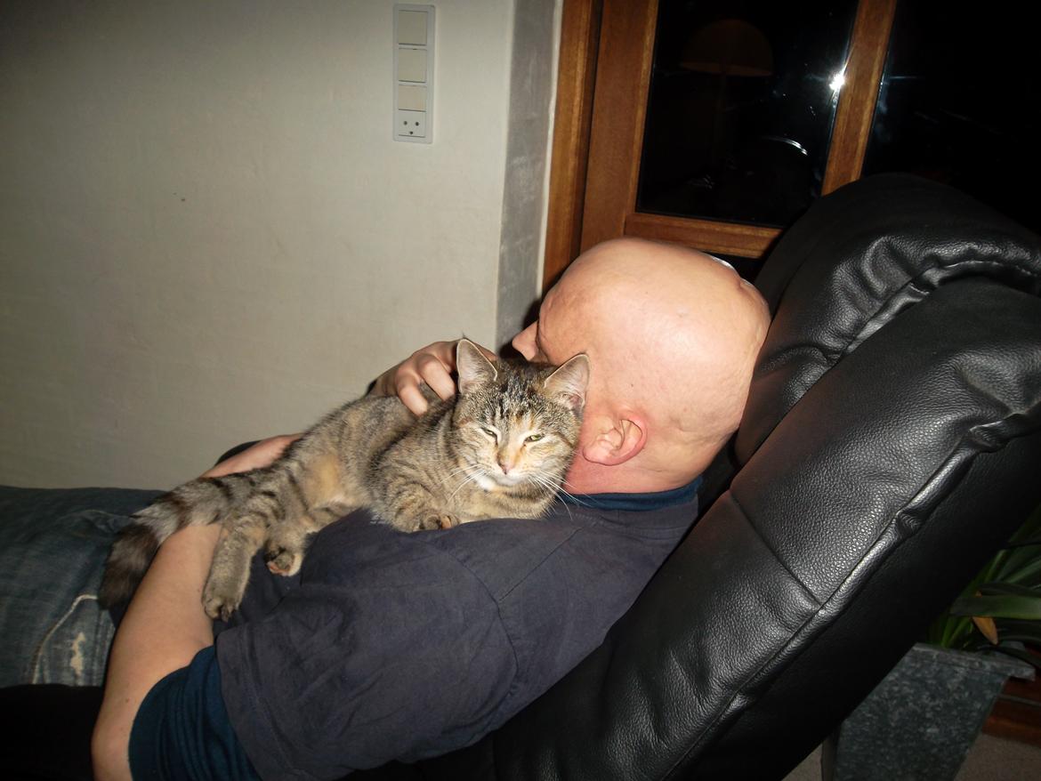 Huskat Lucky billede 20