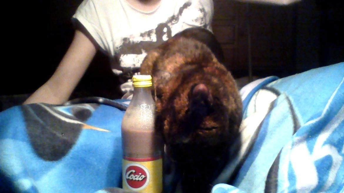 Huskat spette billede 4