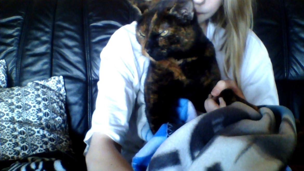 Huskat spette billede 6