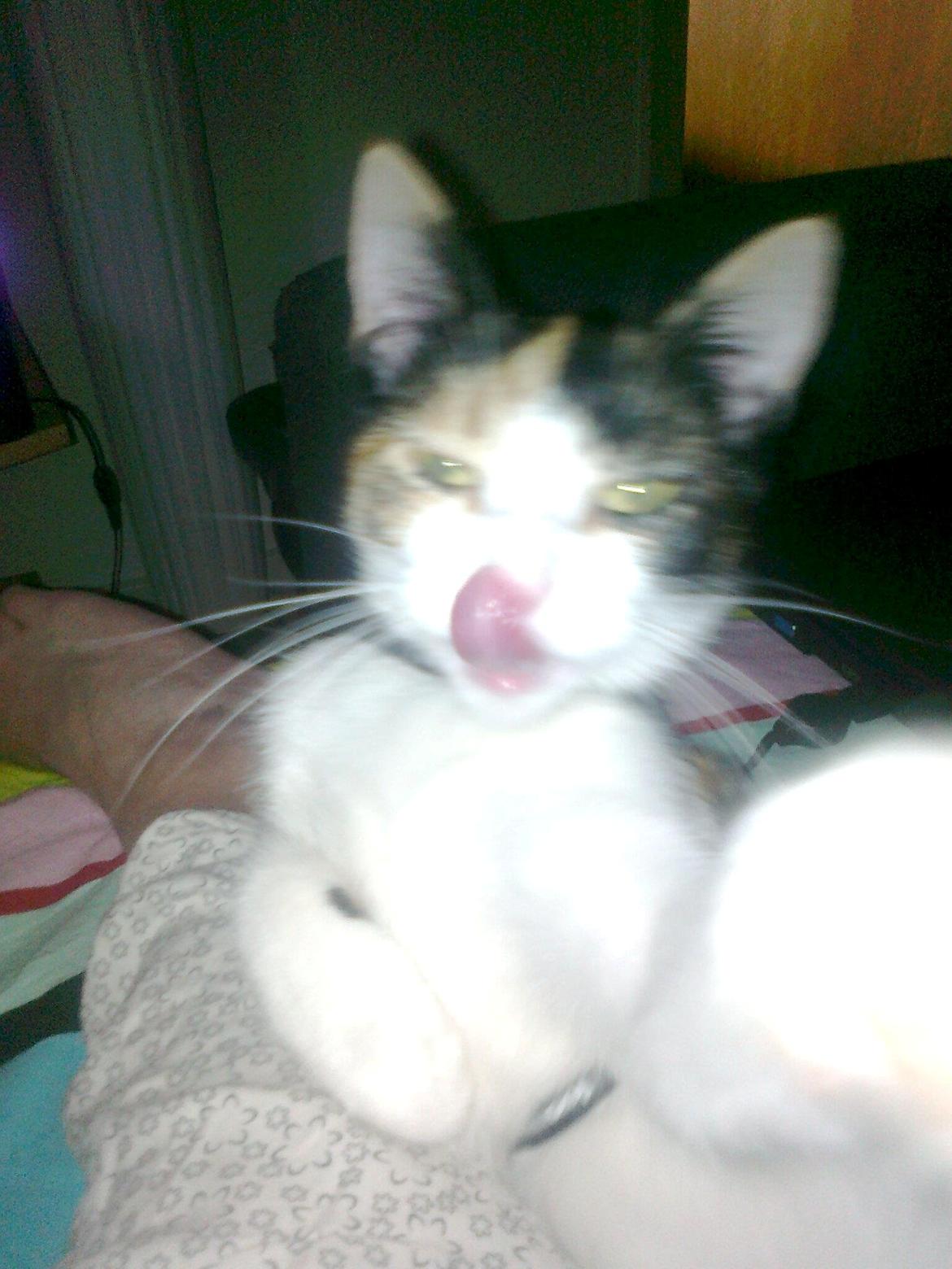 Huskat mille billede 6