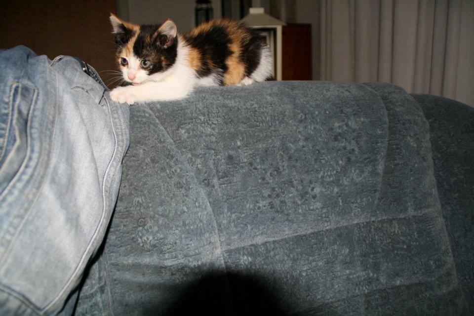 Huskat mille billede 7