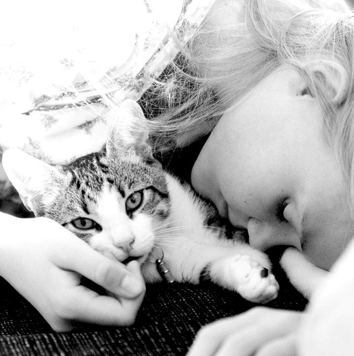 Blanding af racer Bo - Bo og jeg. billede 5