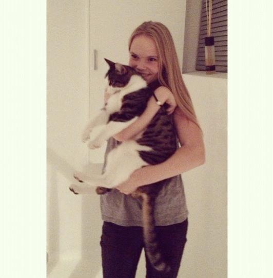 Blanding af racer Bo - Bosse, nu som fuldvoksen :) billede 8