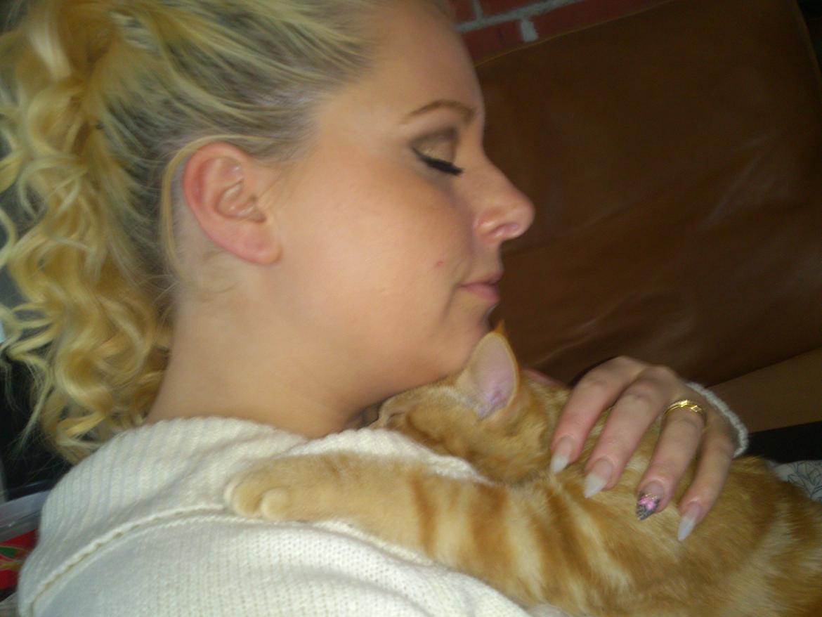 Blanding af racer Zimba Løvenberg billede 4