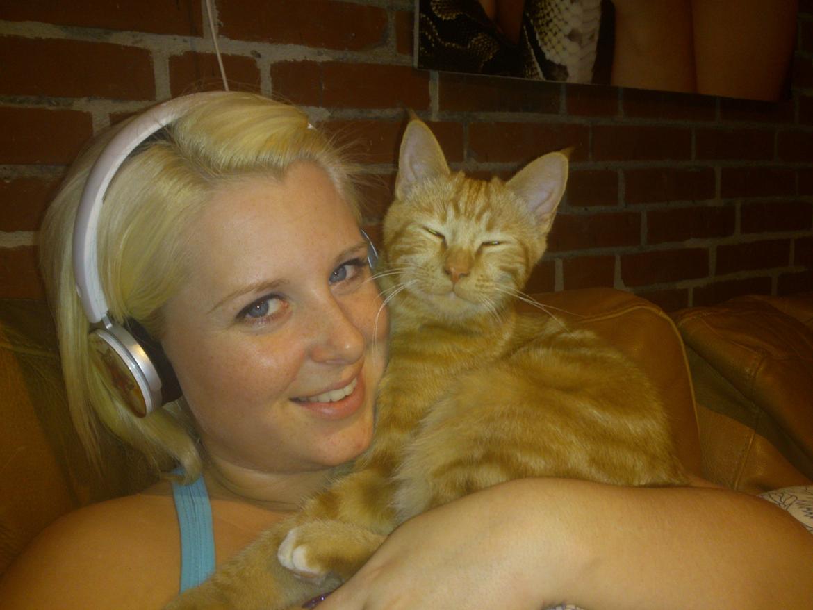 Blanding af racer Zimba Løvenberg billede 7