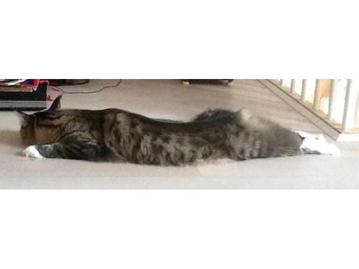 {{currentPhoto.altText}} billede {{currentPhoto.number}}