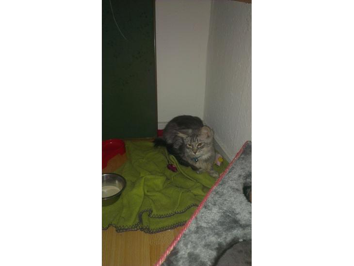 {{currentPhoto.altText}} billede {{currentPhoto.number}}