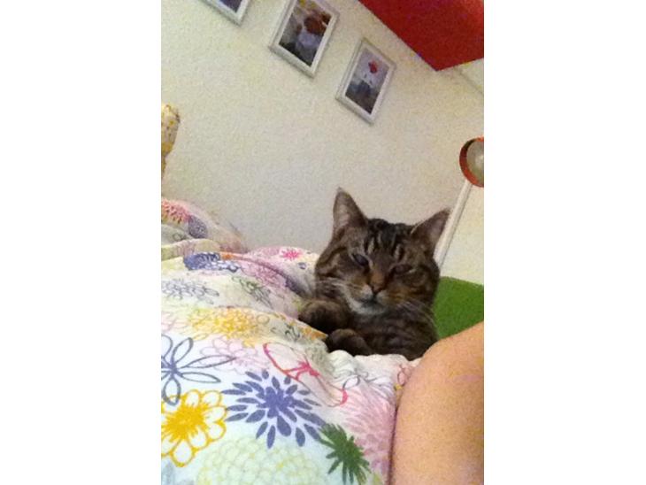 {{currentPhoto.altText}} billede {{currentPhoto.number}}