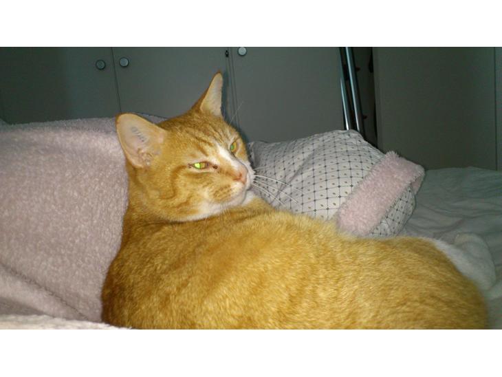 {{currentPhoto.altText}} billede {{currentPhoto.number}}