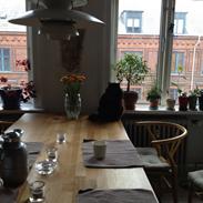 Blanding af racer Marta