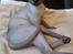 Sphynx Lukaz - Min smukke Lukaz
