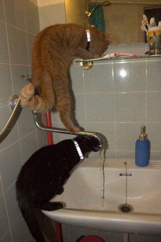 Huskat Kela "Sommersol" billede 15