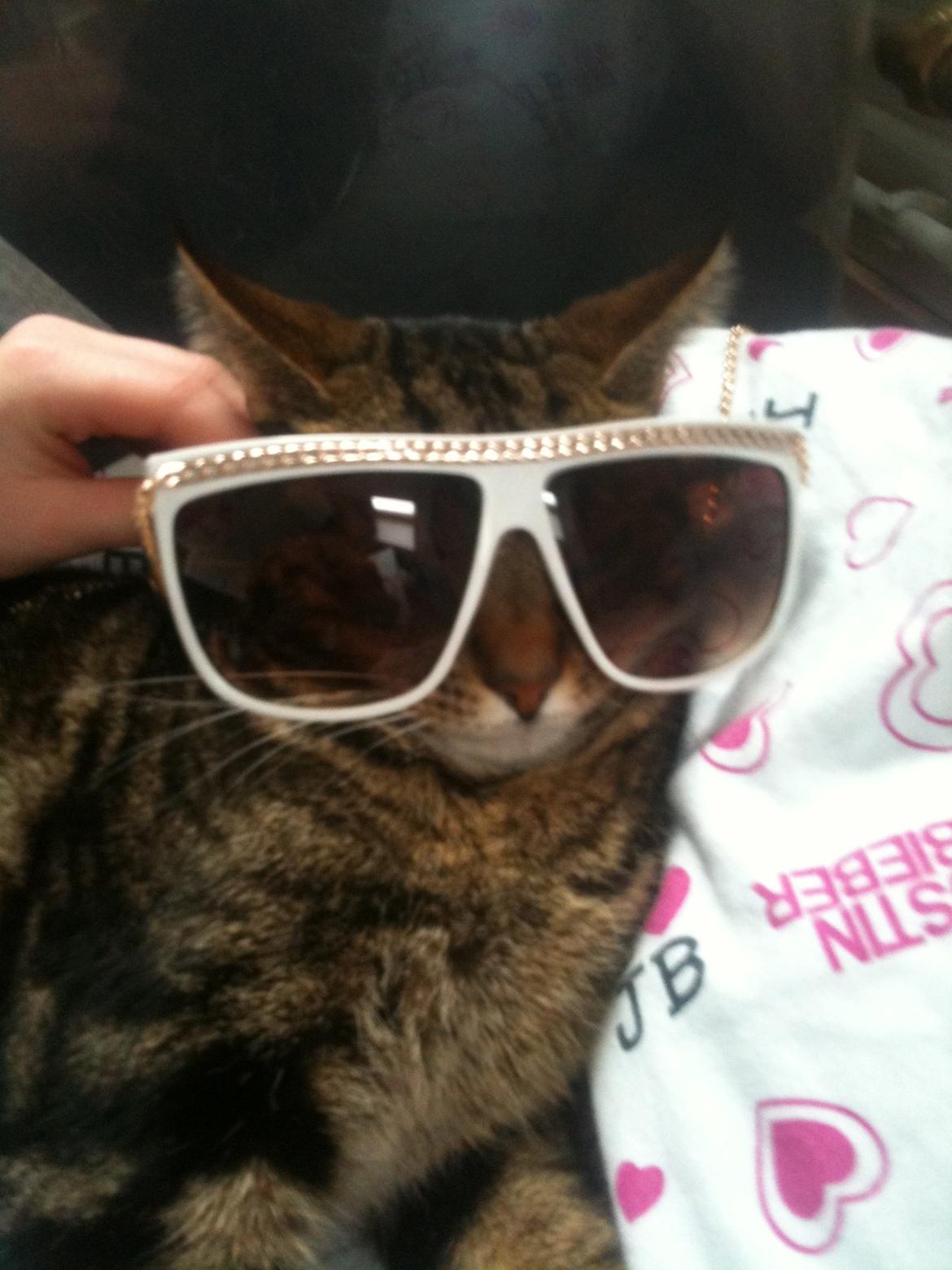 Huskat Winzet (Baby) billede 6