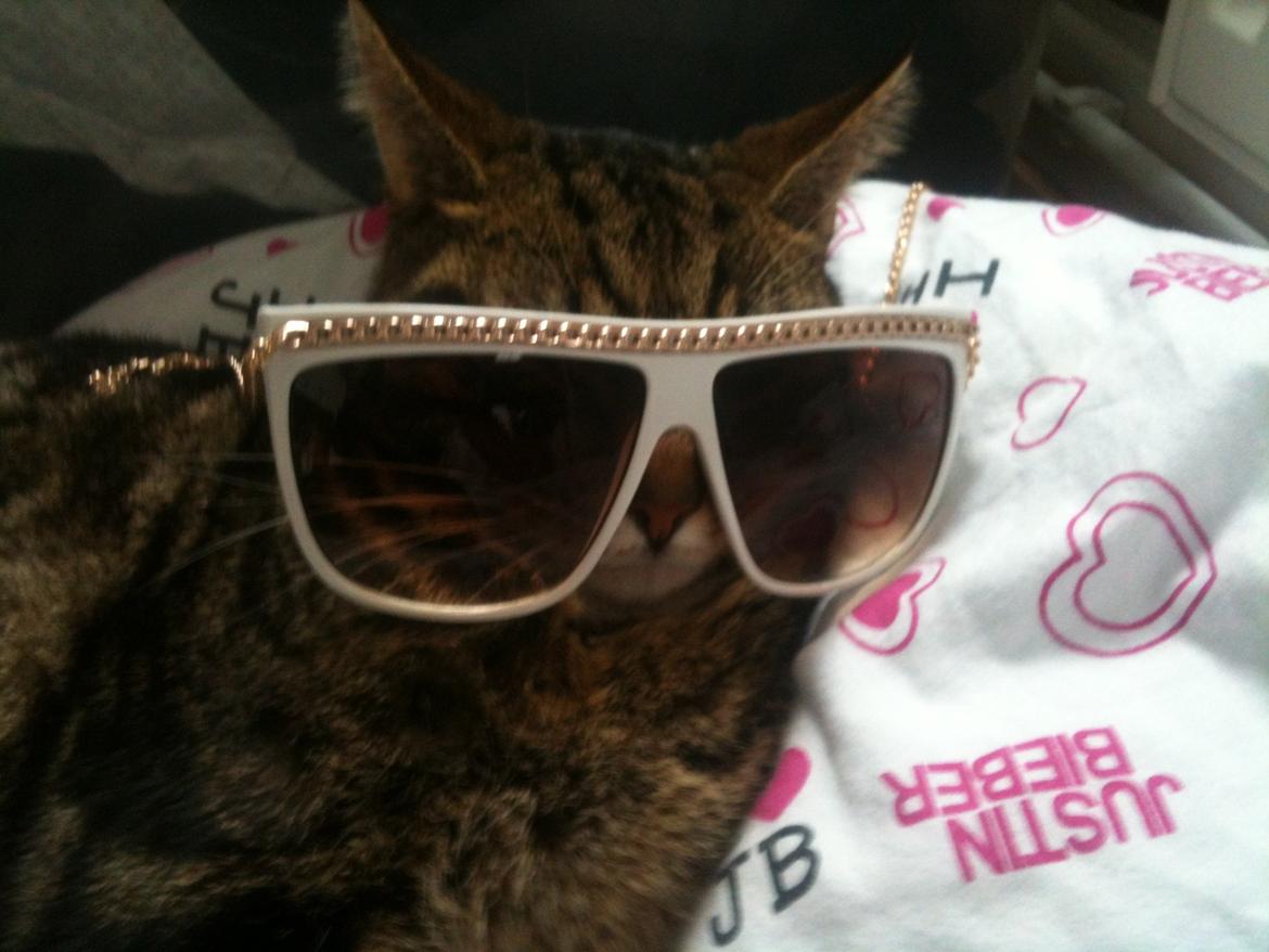 Huskat Winzet (Baby) billede 7