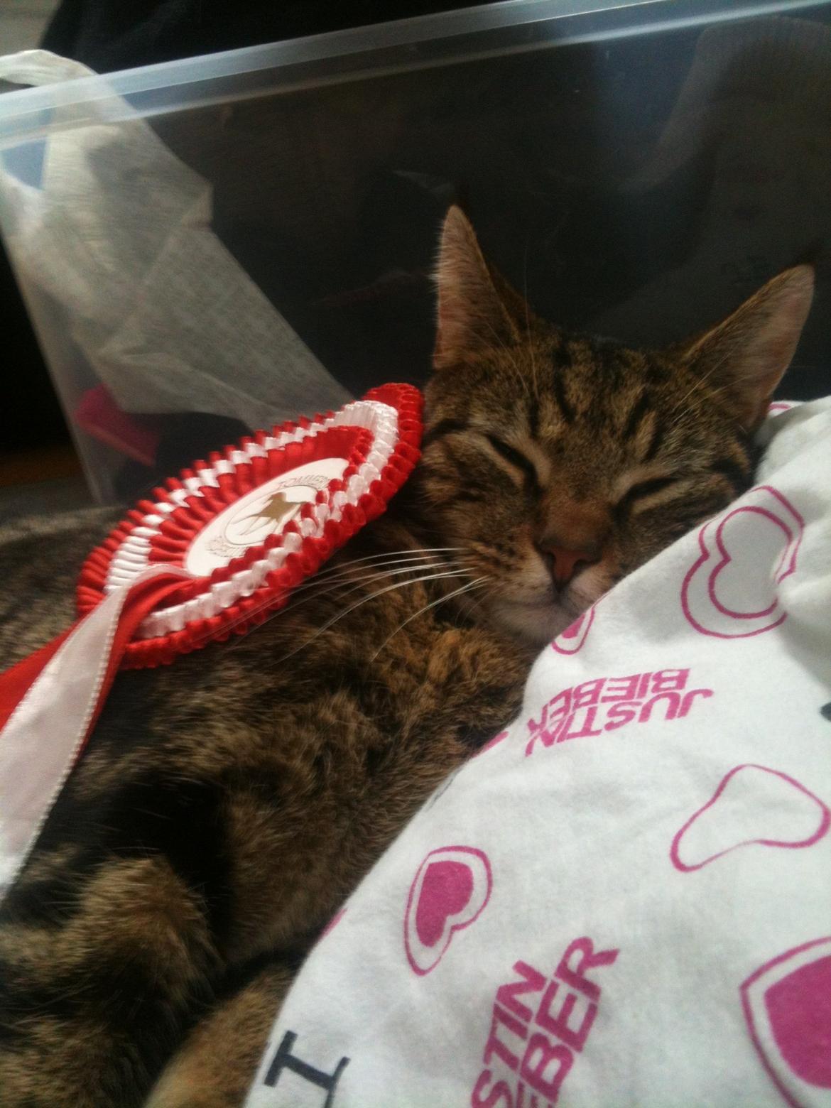 Huskat Winzet (Baby) billede 9