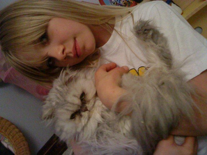 Perser Fnuggi Min kat<3<3<3<3<3<3<3<3<3<3 - mig og fnuggi <3<3<3<3 gammelt billed  billede 13