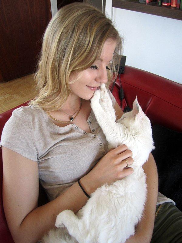 Maine Coon Charles billede 17