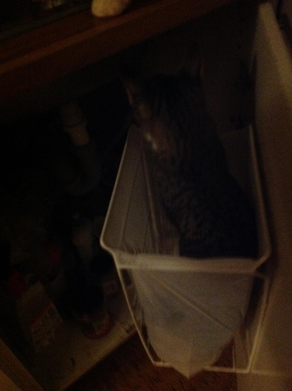 Huskat mille billede 2