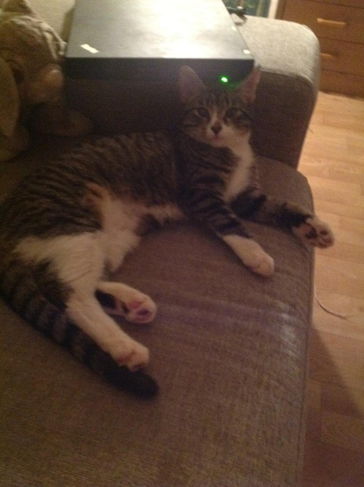 Huskat mille billede 3