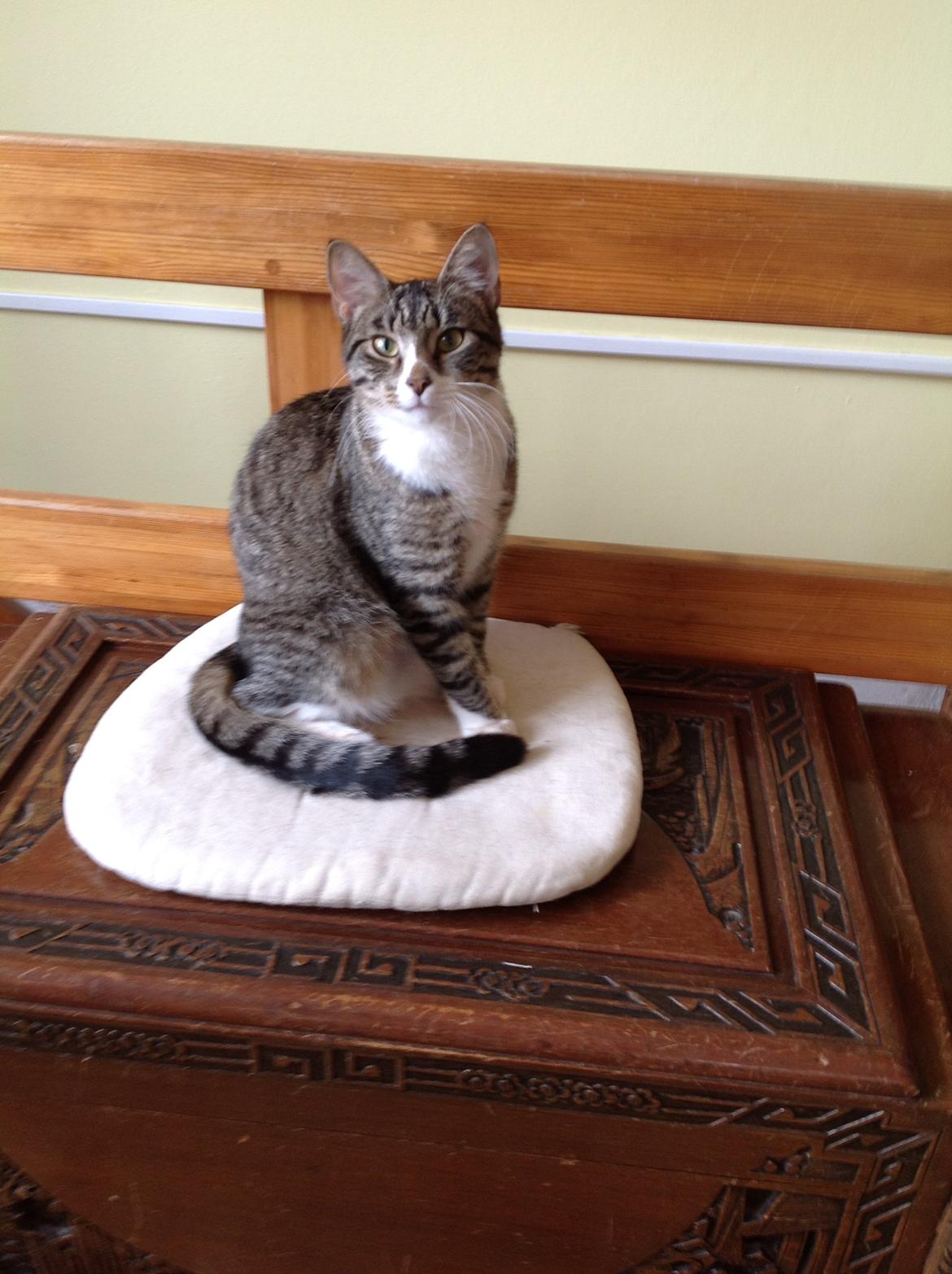 Huskat mille billede 4