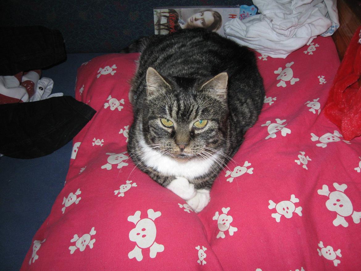 Huskat perle billede 2