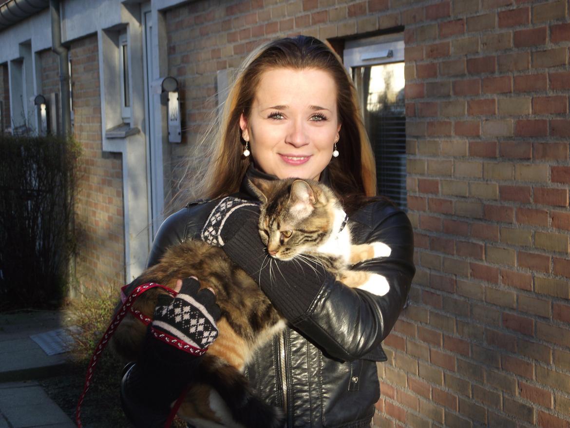 Huskat Fie aflivet :( billede 3